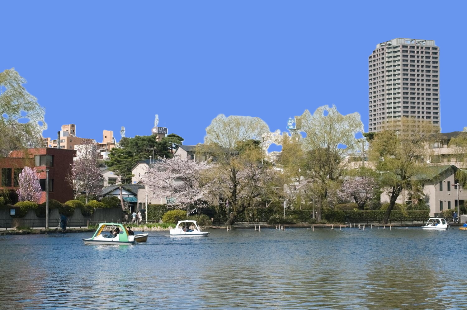 石神井公園ボート池